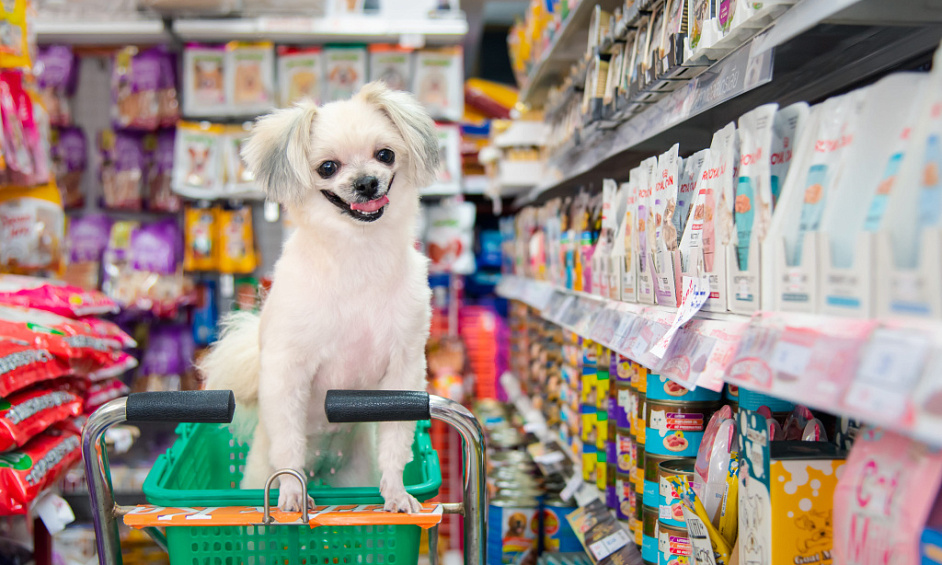 Nord D'Edmonton Emplacement De Franchise De Vente Au Détail Pour Animaux De Compagnie À Vendre 1