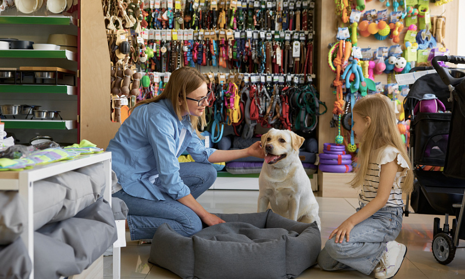 NOUVEAU PRIX!! Animalerie Rentable À Airdrie À Vendre 1