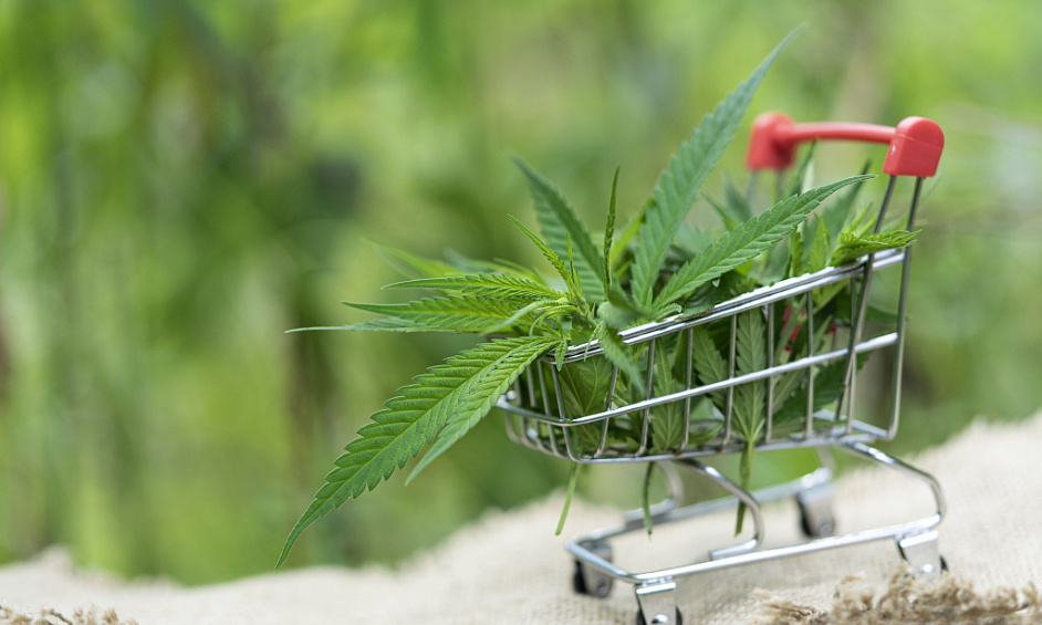 Zone Du Centre-Ville Autorisée Au Cannabis À Vendre 1