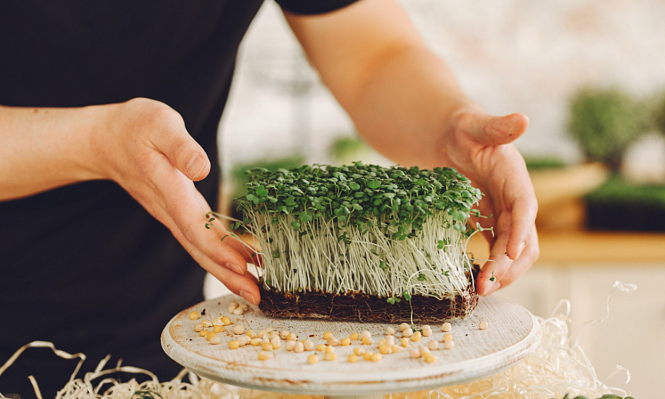 Calgary Micro-Ferme Entreprise À Vendre 1