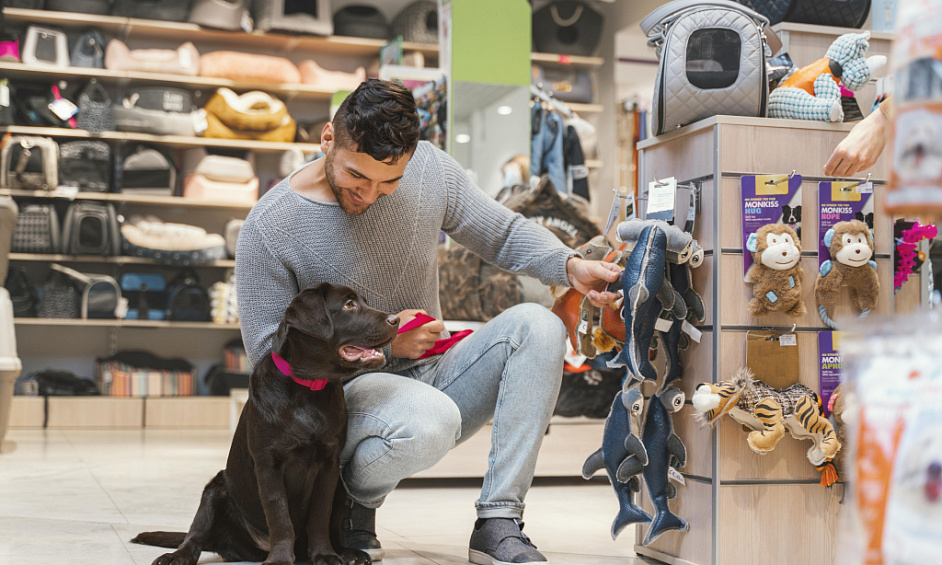 Vernon Emplacement De Franchise De Vente Au Détail Pour Animaux De Compagnie À Vendre 1