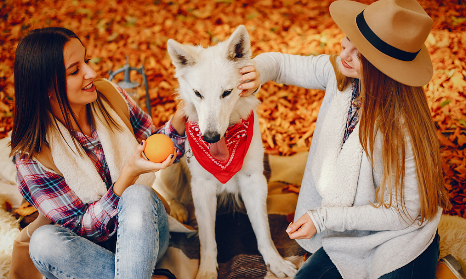 Franchise De Vente Au Détail Pour Animaux À Red Deer Générant Des Flux De Trésorerie À Vendre 1