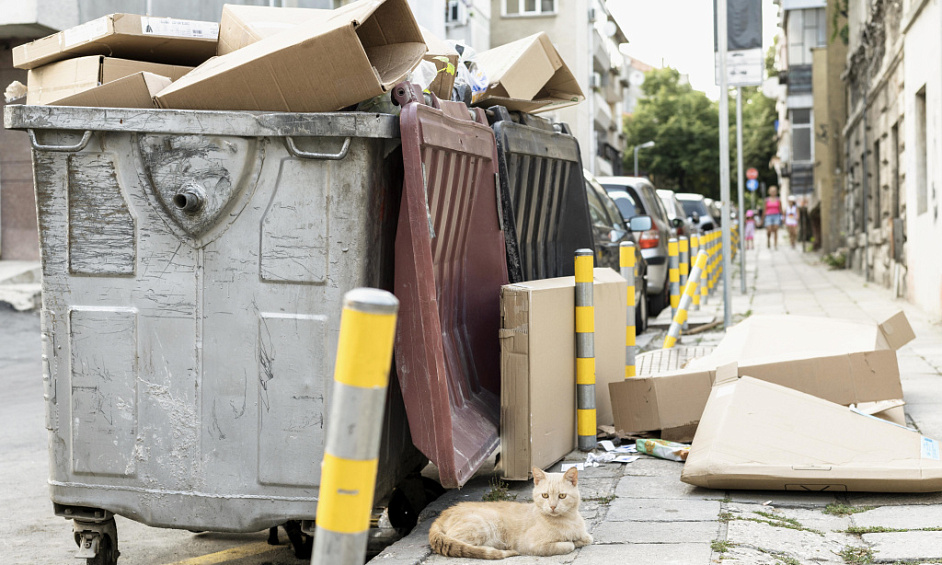 Franchise D'enlèvement D'encombrants Établie À Winnipeg À Vendre 1
