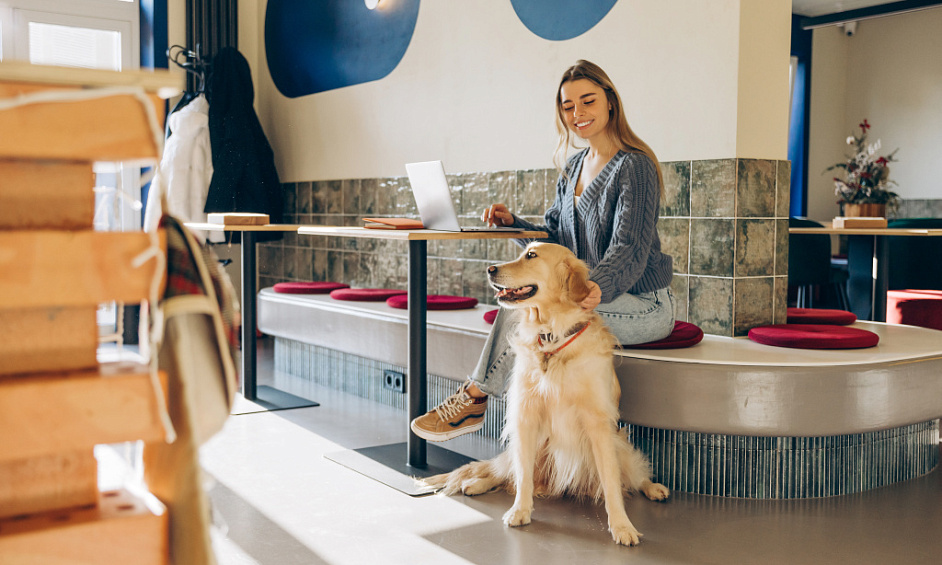 Okotoks Franchise Pour Animaux Existante À Vendre Sous Le Coût En Emplacement De Premier Choix 1