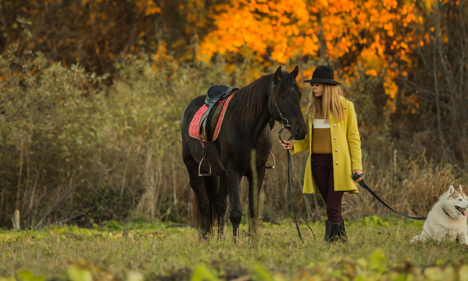 Profitable Horse Business On Vancouver Island For Sale 1