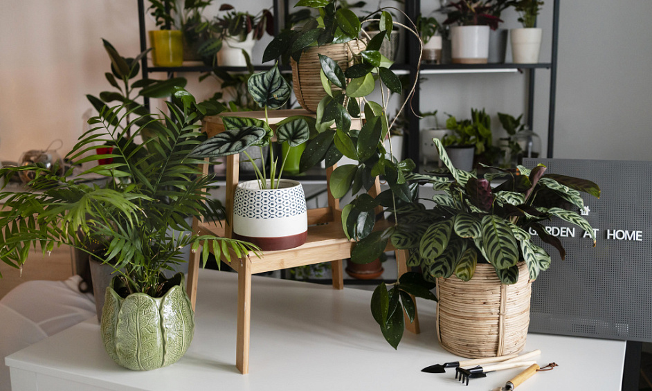 Entreprise de plantes artificielles très rentable – Présentée sur HGTV ! À vendre 1